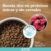 imageTaste of the Wild Appalachian Valley Small Breed GrainFree Recipe with Roasted Venison Dry Adult Dog Food Made with High Protein from Real Venison 28lb5 Pound Pack of 1