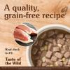 imageTaste of the Wild High Prairie Canine Recipe with Bison in Gravy 132ozWetlands